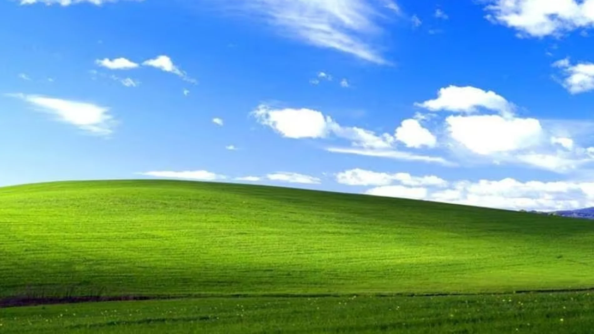 Así se ve el icónico fondo de pantalla de Windows XP en la realidad, 22 años después.