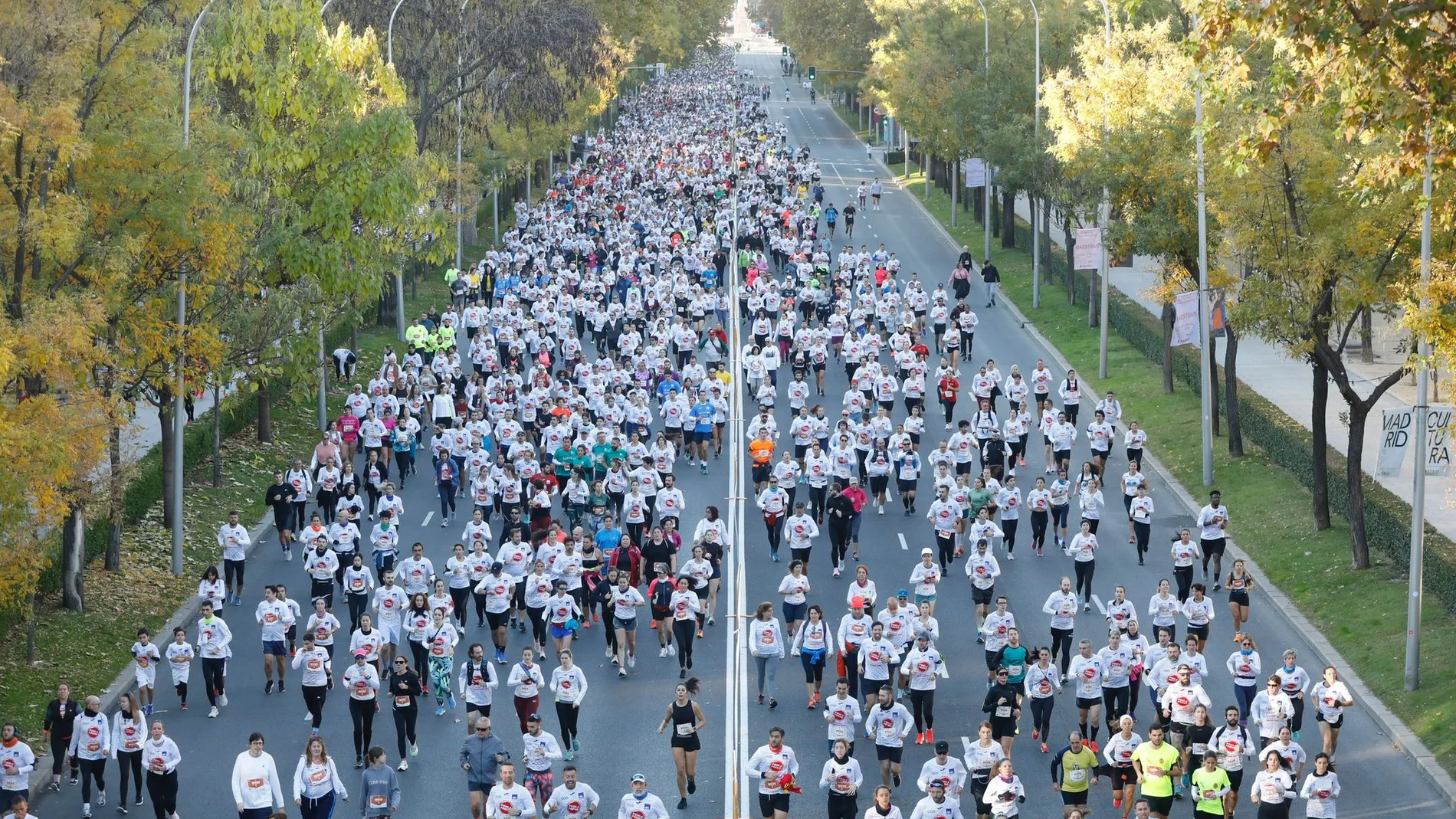 Algunos de los cerca de 18.000 participantes en la carrera 'Ponle Freno' recorriendo este domingo el Paseo de Recoletos de Madrid