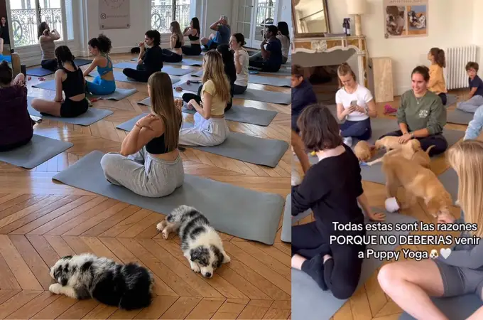 Yoga con perros cachorros: así es la nueva actividad viral que está arrasando en Madrid