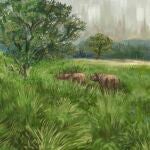 El rinoceronte de Merck era uno de los animales a los que les encantaba alimentarse de hojas de avellano. Este animal vivía en la mayor parte de Europa y probablemente desempeñaba una función importante para mantener los paisajes abiertos y variados.
