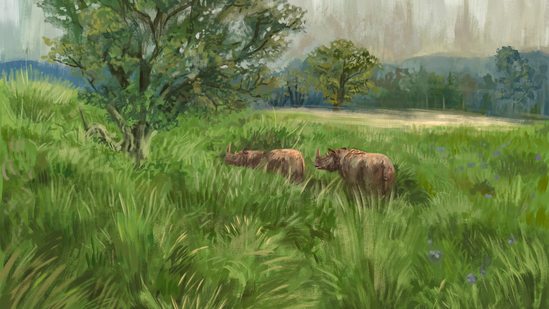 El rinoceronte de Merck era uno de los animales a los que les encantaba alimentarse de hojas de avellano. Este animal vivía en la mayor parte de Europa y probablemente desempeñaba una función importante para mantener los paisajes abiertos y variados.