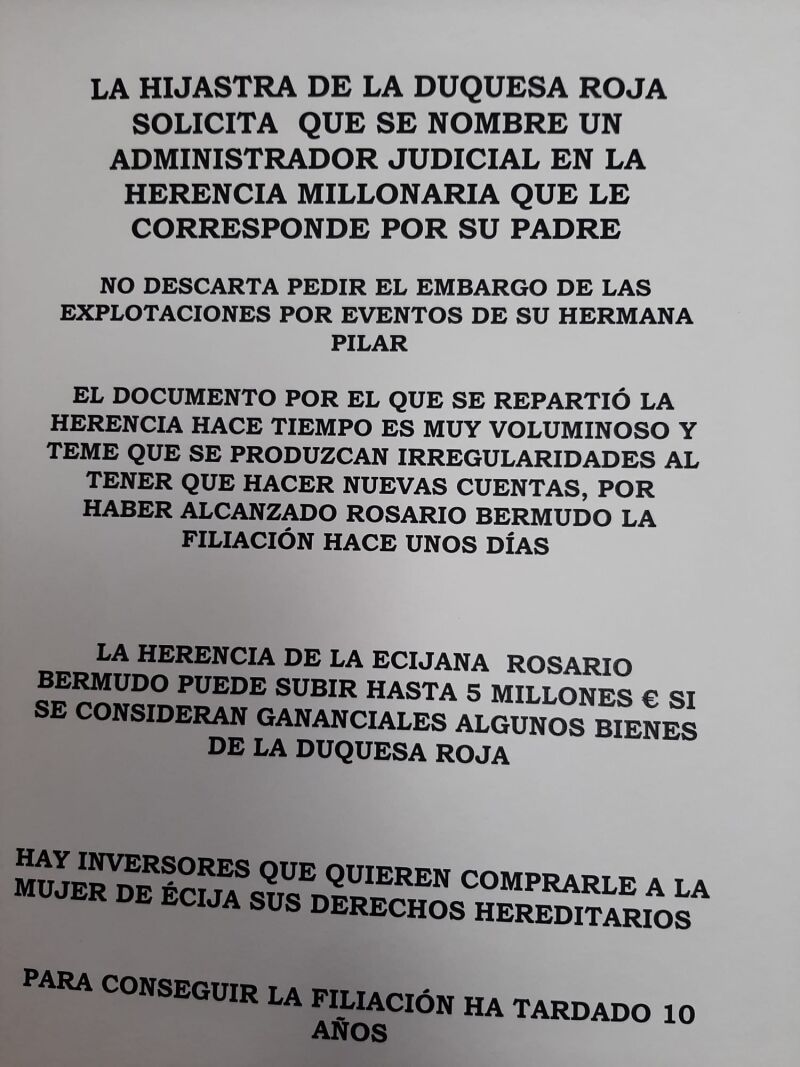 Comunicado de la solicitud para nombrar un administrador judicial por parte de Rosario Bermudo.