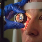 Innovación en la mácula de retina