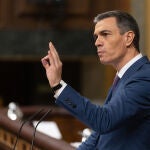 Sánchez comparecerá en el Pleno del Congreso el 20 diciembre, pero no estará en la primera sesión de control