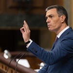 AMP.- Sánchez comparecerá en el Pleno del Congreso el 20 diciembre, pero no estará en la primera sesión de control