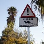 Castellón.- El Consorcio Río Mijares instala señales para prevenir el atropello de nutrias