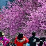 La participación de Taiwán en la cumbre del clima se limita a la de observador