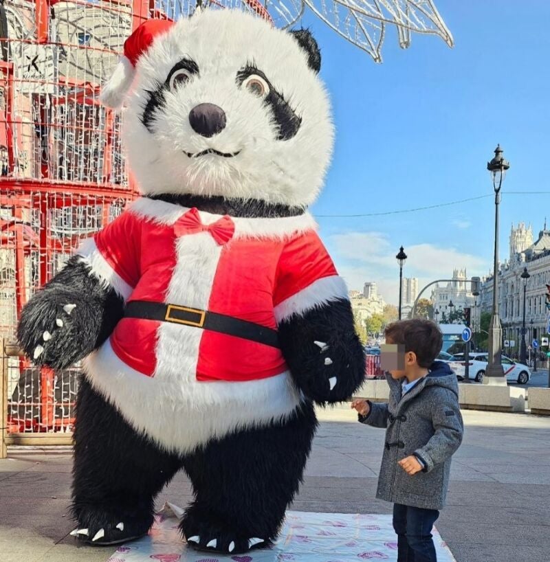 El hijo de Paula Echevarría y Miguel Torres disfrutó de la Navidad en Madrid