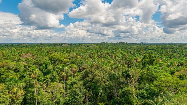 Amazonia ecuatoriana 
