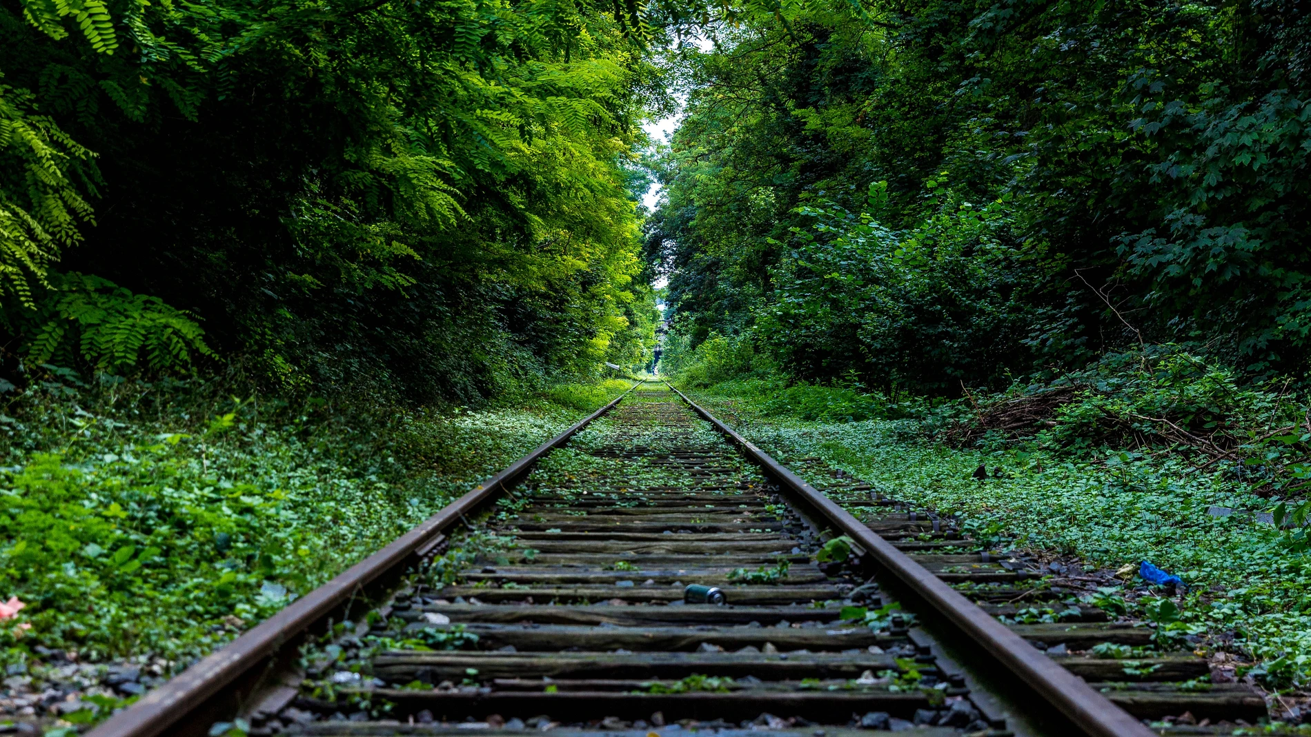 Llega a España el primer tren impulsado por hidrógeno verde.