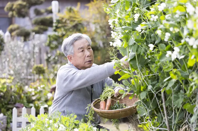 Japón lucha contra un envejecimiento de la población sin precedentes