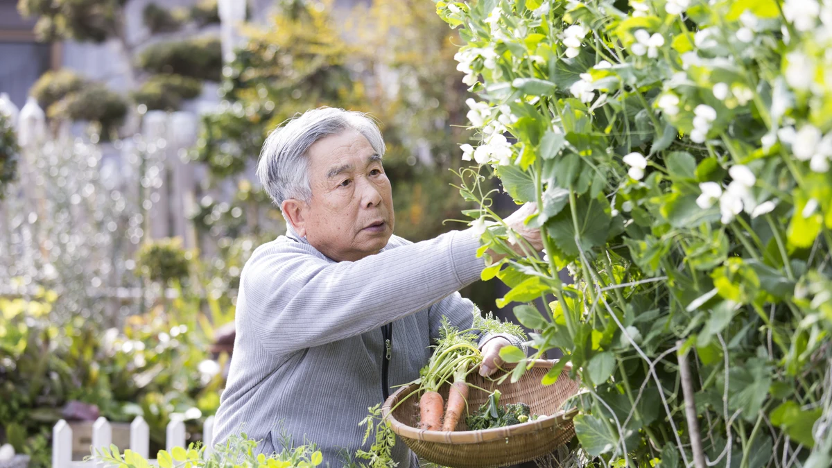 Japan battles unprecedented population aging