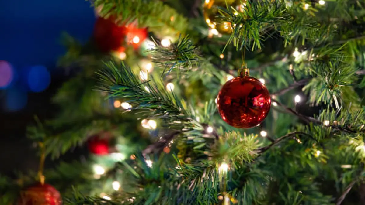 ¿Cuándo retirar el árbol de Navidad? Descubre la superstición que podría traer mala suerte en 2024