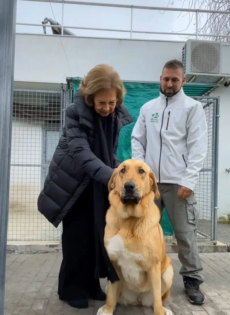 La Reina Doña Sofía visita el Centro Municipal de Protección Animal de Las Rozas