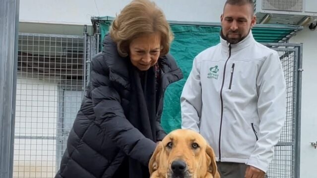 La Reina Doña Sofía visita el Centro Municipal de Protección Animal de Las Rozas 