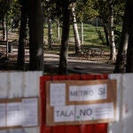 MADRID.-Rodrigo defiende "el esfuerzo" para reducir a 523 las talas por la L11 y subraya la repoblación al finalizar las obras