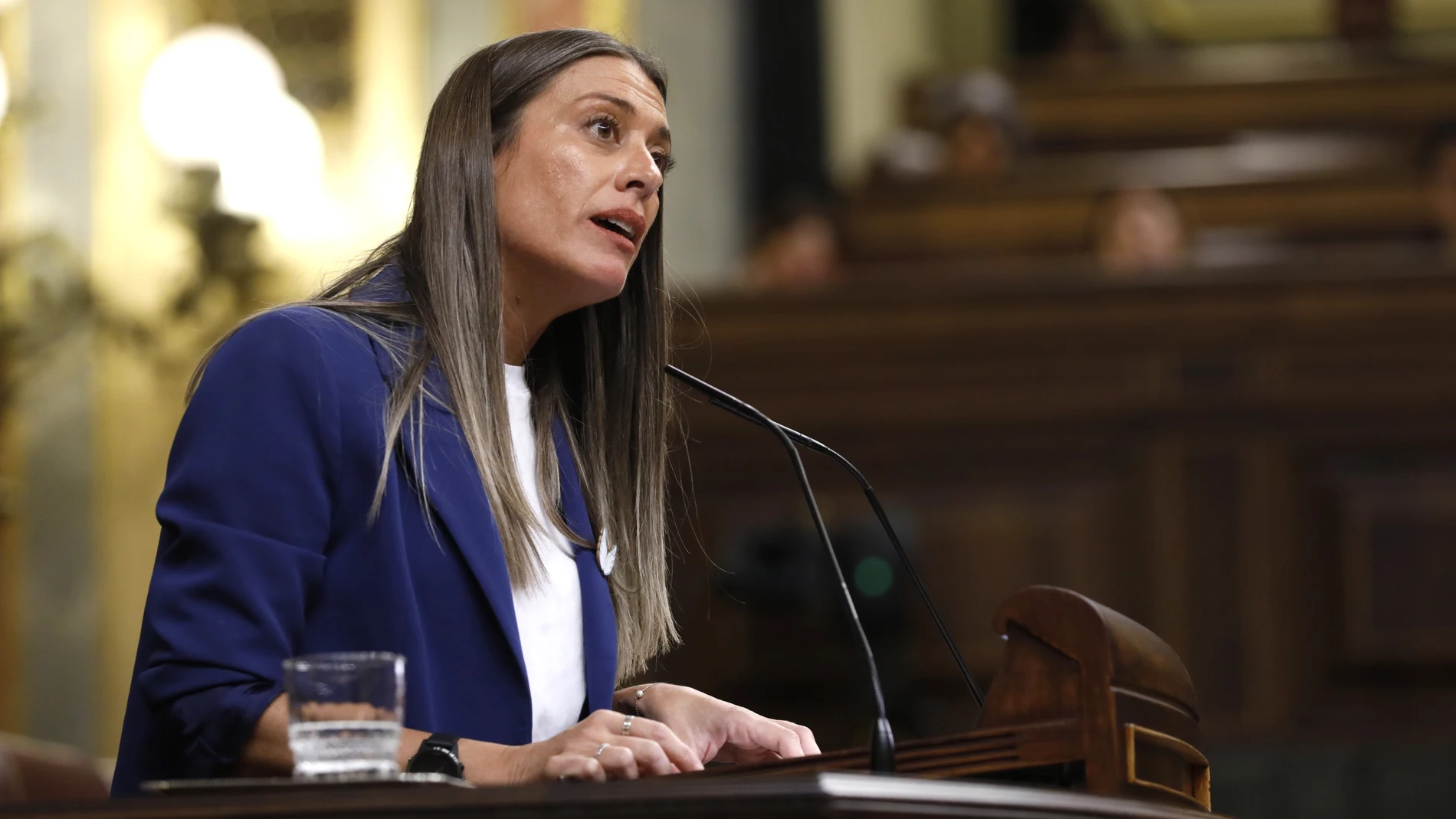Pleno sobre la Ley de Amnistia. © Jesús G. Feria.