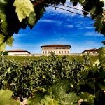 Bodega Rioja Vega se encuentra en un escenario privilegiado para el cultivo de la vid con suelos pobres y clima atlántico que confiere a sus vinos un carácter único y diferenciador.
