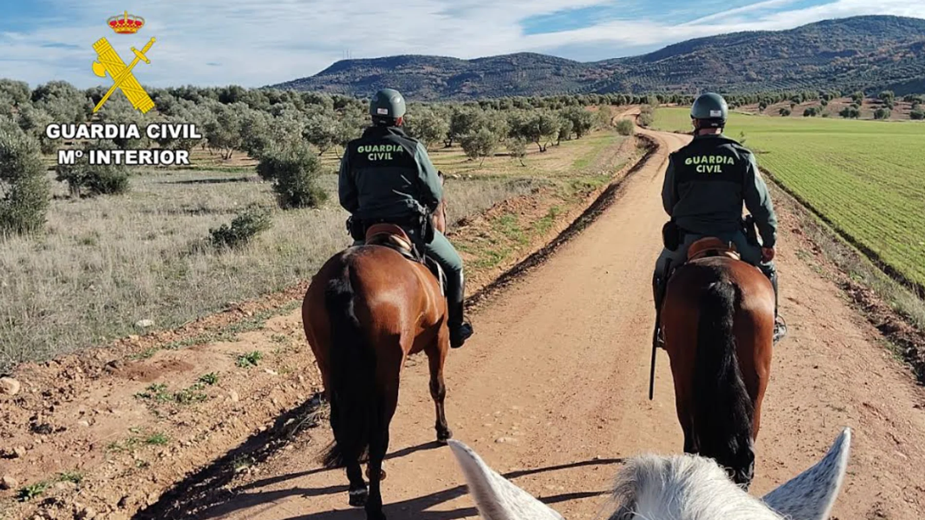 Agentes del Grupo de Caballería