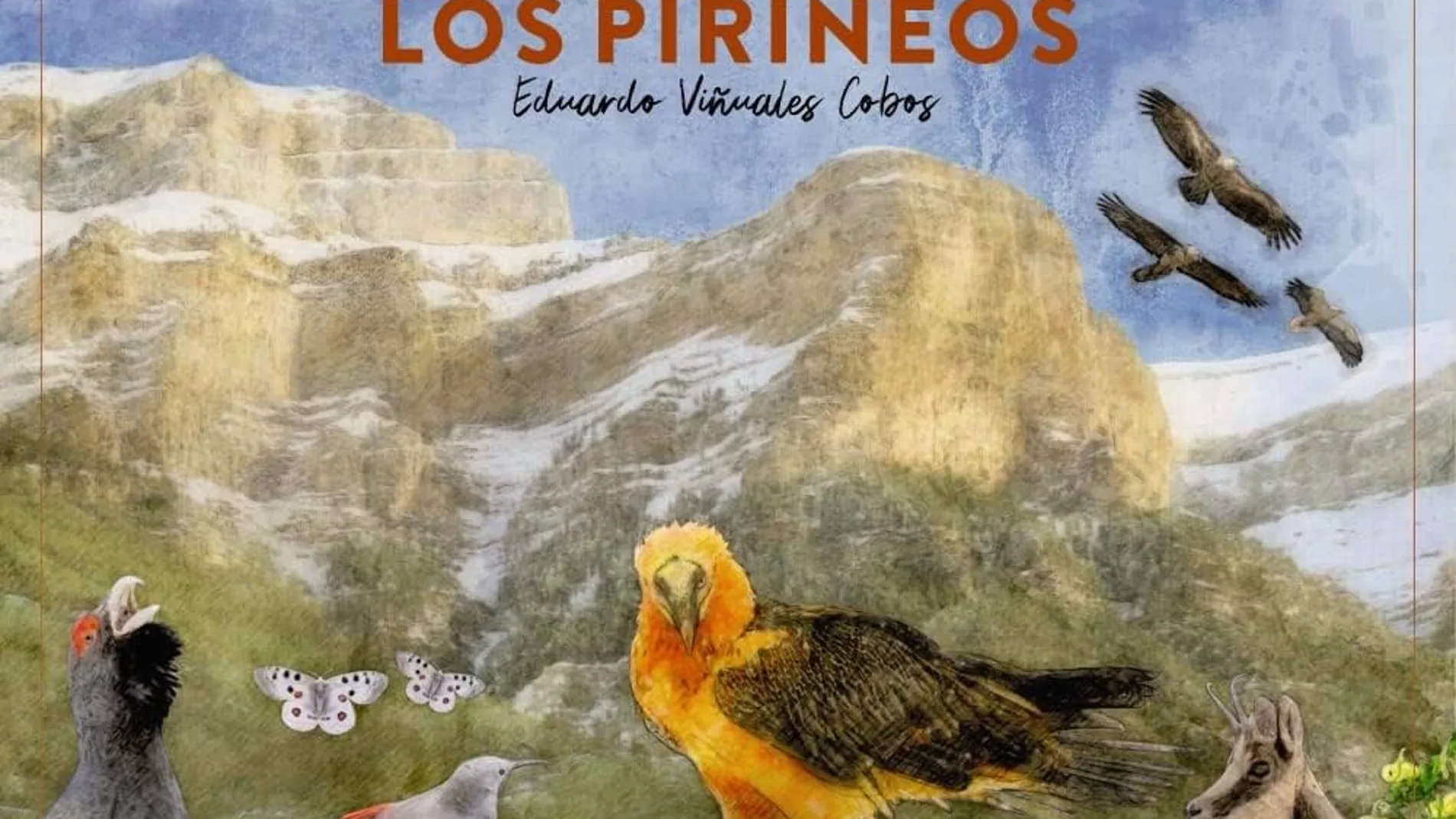 Cuaderno de montaña de las maravillas naturales de los Pirineos de Eduardo Viñuales Cobos