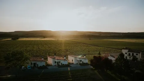Finca La Emperatriz: donde la uva es la base de todo