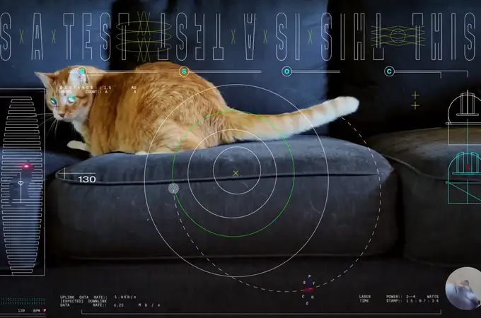 Para probar un nuevo sistema de comunicación láser, la NASA envía un vídeo de gatitos