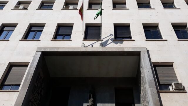 Condenado a 21 años por intentar matar a un hombre, disparar a una mujer y retener a su hijo menor en Almería