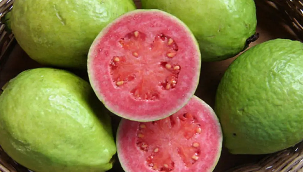 Guayaba, fruta típica de Centroamérica