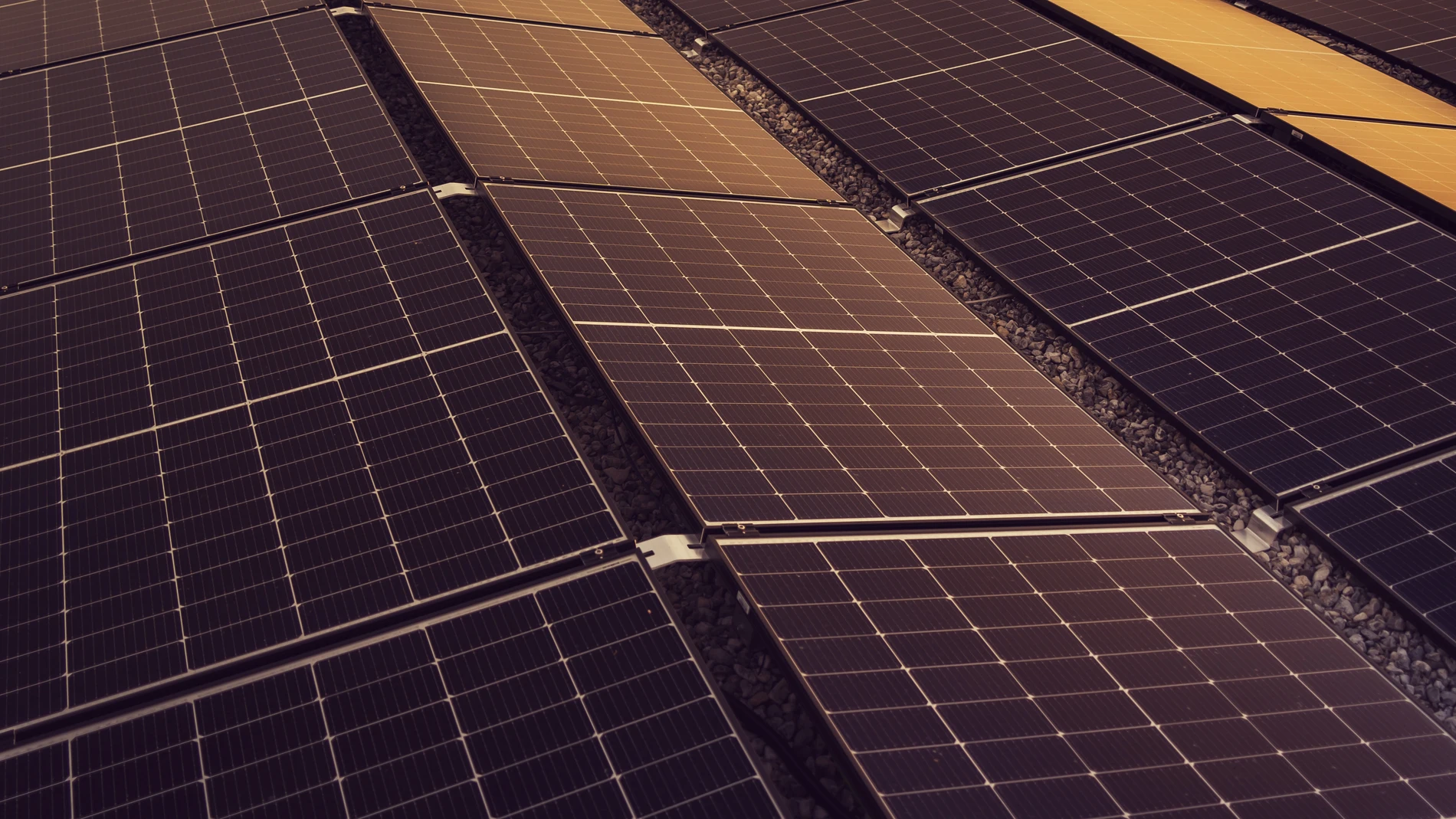 Elmya cuenta con una larga trayectoria en el desarrollo de energía solar