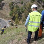 Endesa prevé más de mil empleos al año para la tala y poda en líneas eléctricas en Andalucía