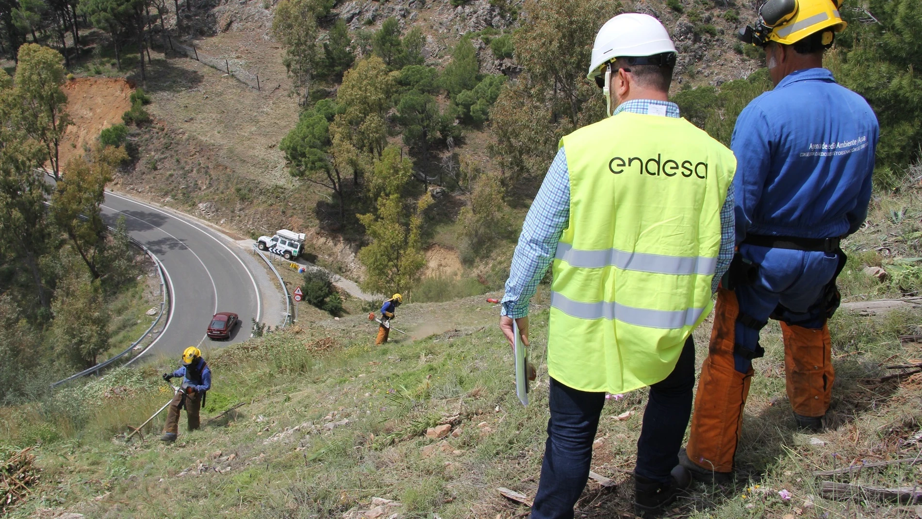 Endesa prevé más de mil empleos al año para la tala y poda en líneas eléctricas en Andalucía