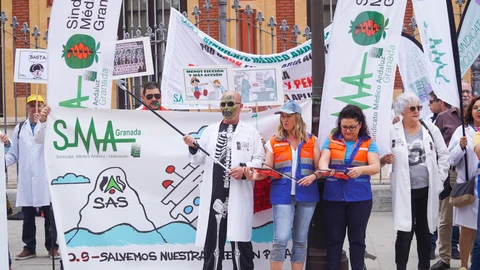 Protesta de profesionales sanitarios frente a San Telmo