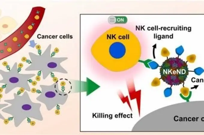 Desarrollan nanodrones para el tratamiento selectivo del cáncer