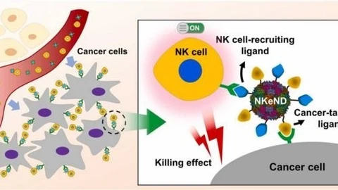 Investigadores crean unos nanodrones para el tratamiento selectivo del cáncer
