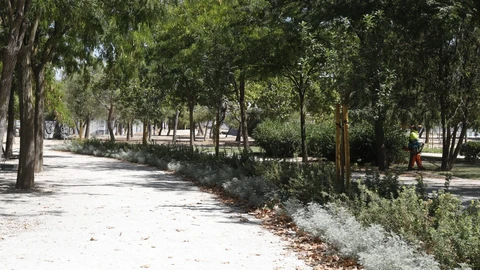 Un joven denuncia que fue violado por ocho hombres el día de Año Nuevo en un parque de Carabanchel