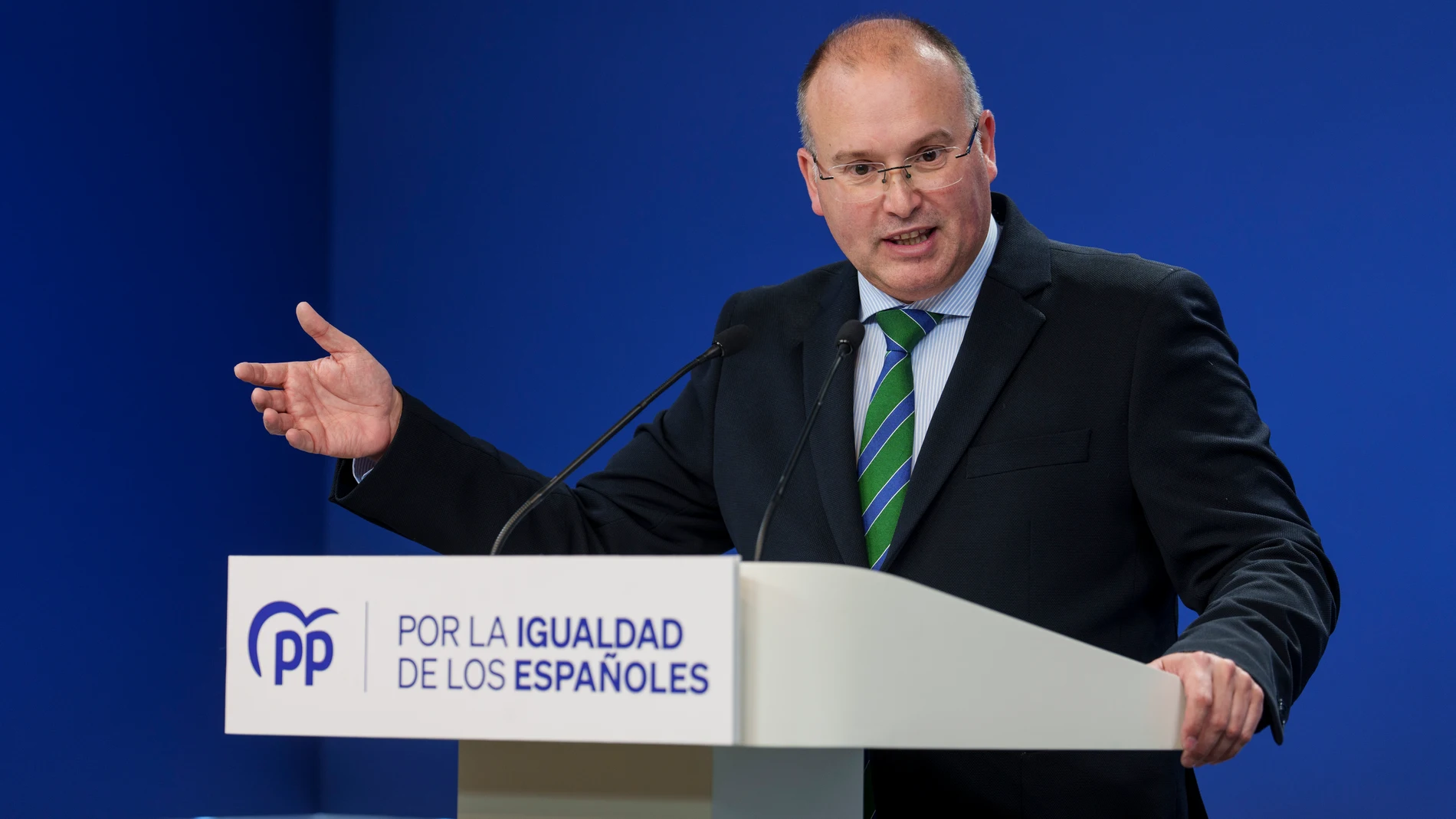 Miguel Tellado presenta en rueda de prensa la enmienda de totalidad, con texto alternativo del PP, a la ley de amnista.