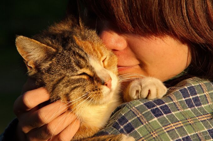 Un estudio revela el fuerte vínculo que los gatos sienten hacia sus cuidadores