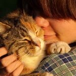 Un estudio revela el fuerte vínculo que los gatos sienten hacia sus cuidadores