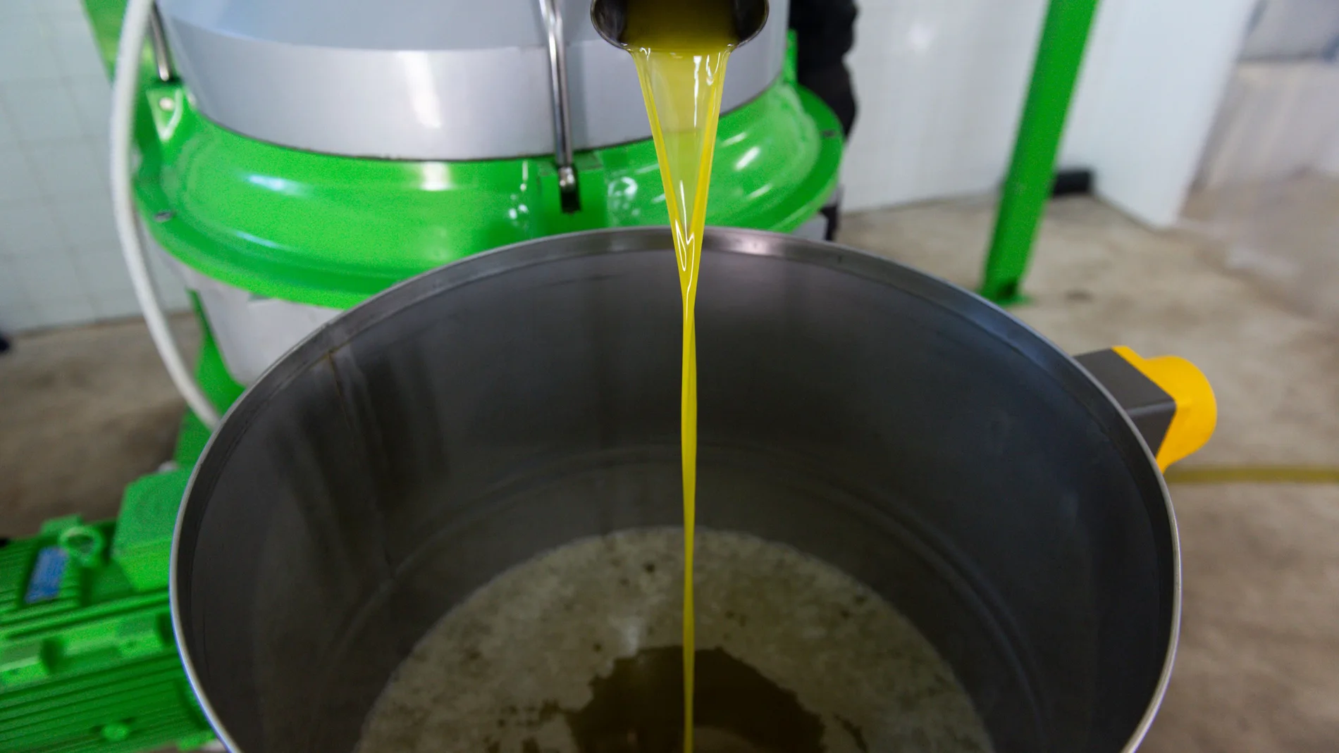Extracción y filtrado de aceite