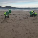 Una brigada recogiendo pellets en la playa de San Jorge (Ferrol).