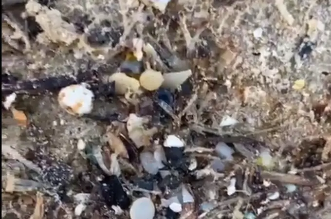 Alerta en Cádiz por un vertido de pellets en la playa de Bolonia