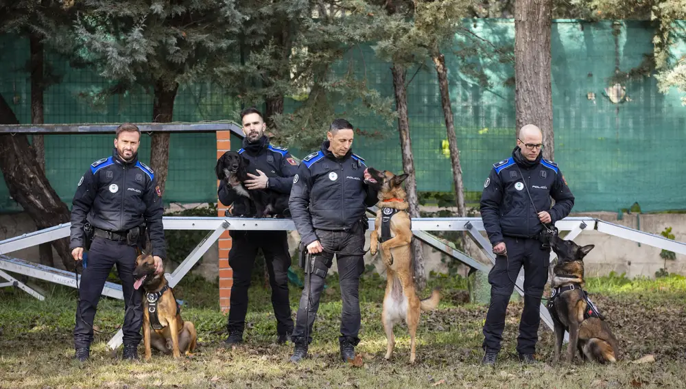 Unidad Canina de la Policia Municipal de Madrid.