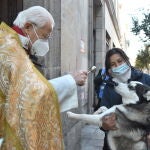 El Padre Ángel bendecirá a las mascotas por San Antón este domingo en la sede de la fundación El Arca de Noé (Madrid)