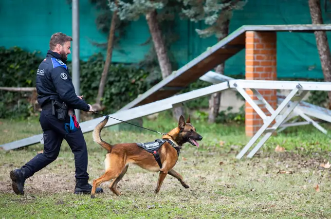 La vicealcaldesa de Madrid destaca el gran papel de la Sección Canina de la Policía Municipal, en el pregón de San Antón