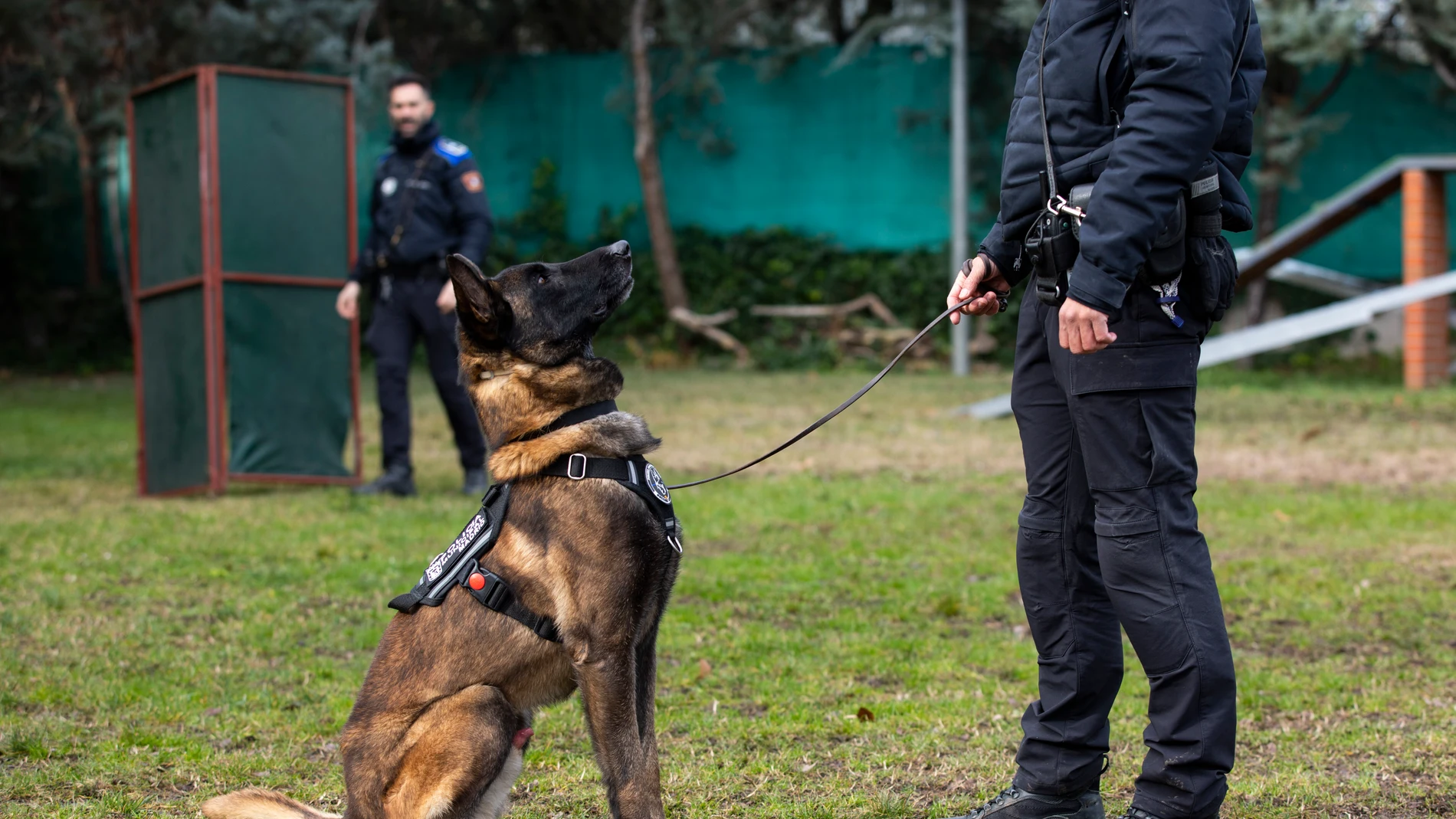 Unidad Canina de la Policia Municipal de Madrid. © Jesús G. Feria.
