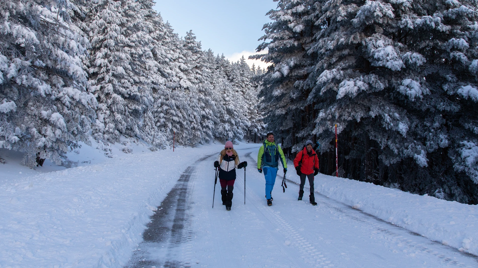 Madrileños suben al puerto de Navacerrada para disfrutar de las primeras nieves del año