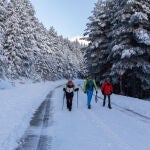 Madrileños suben al puerto de Navacerrada para disfrutar de las primeras nieves del año