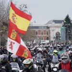 Desfile de Banderas en Pingüinos en Valladolid
