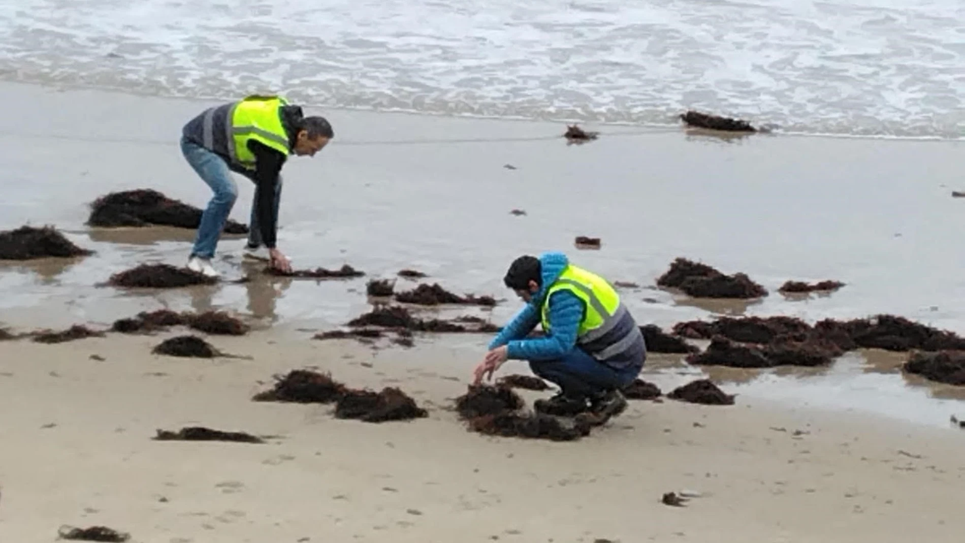 Los pélets siguen llegando en "pequeñas cantidades" a Cantabria y la retirada se centra en ocho playas