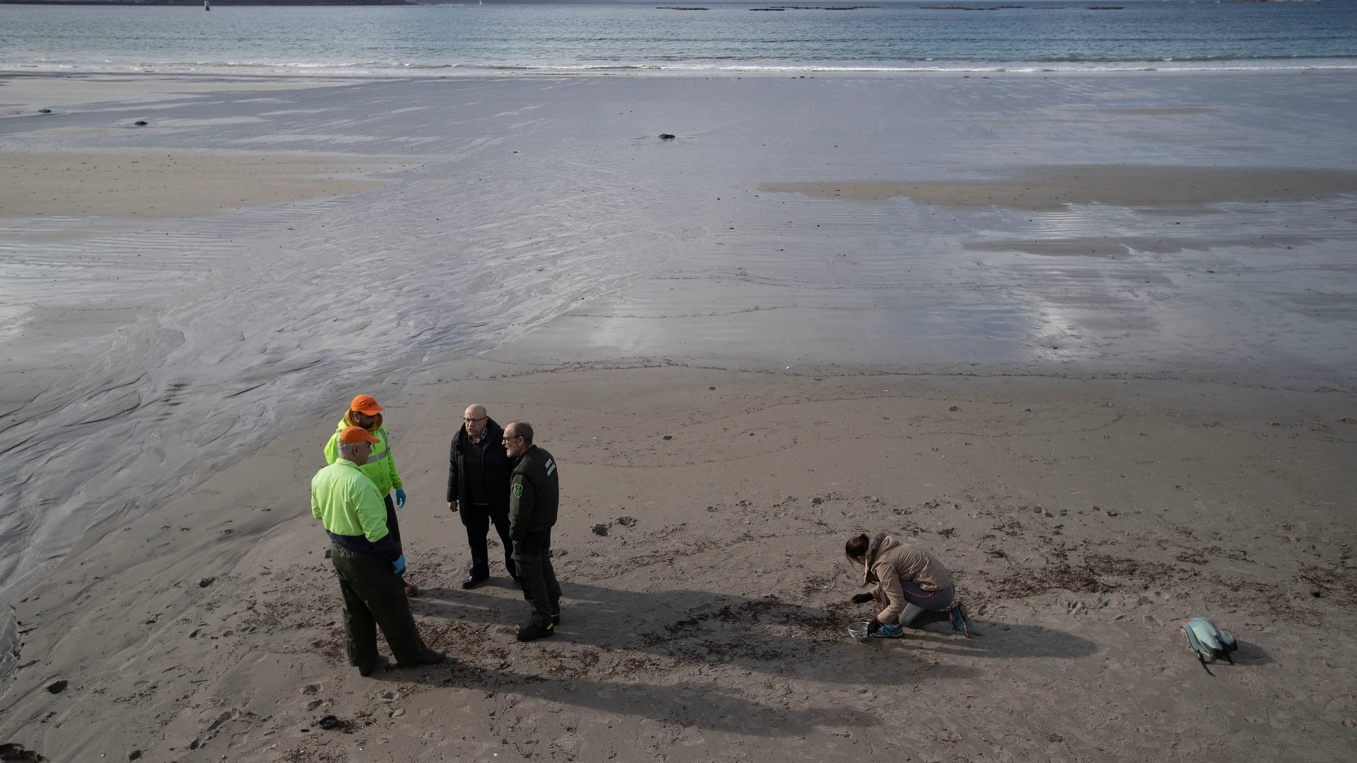 Nigrán (Pontevedra), 14/01/2024.- Voluntarios y empleados de la Xunta de Galicia recogen pellets de plástico en la Playa de A Madorra en Nigrán. EFE/Salvador Sas